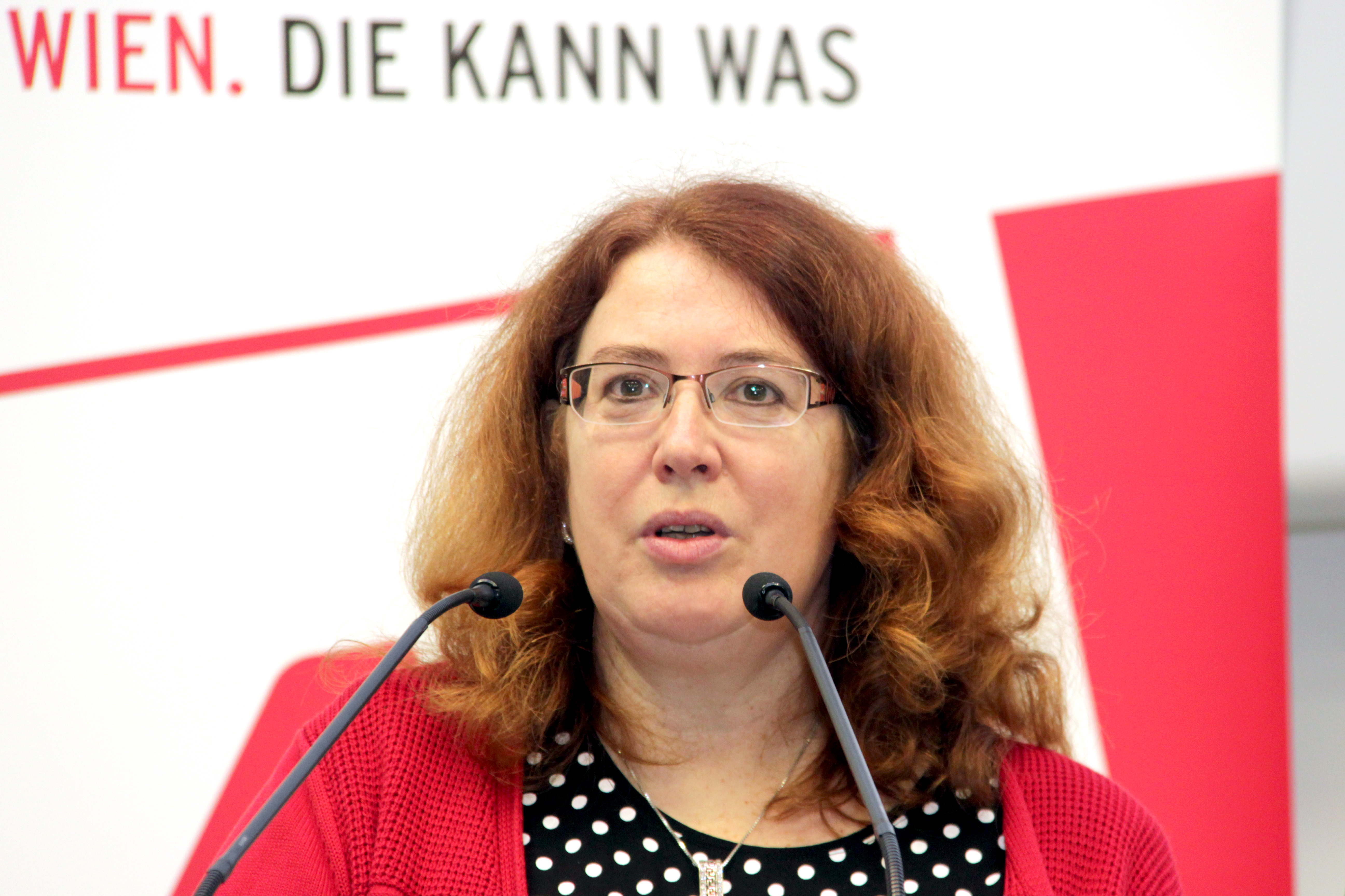 ECB 2013 Sylvia Leodolter