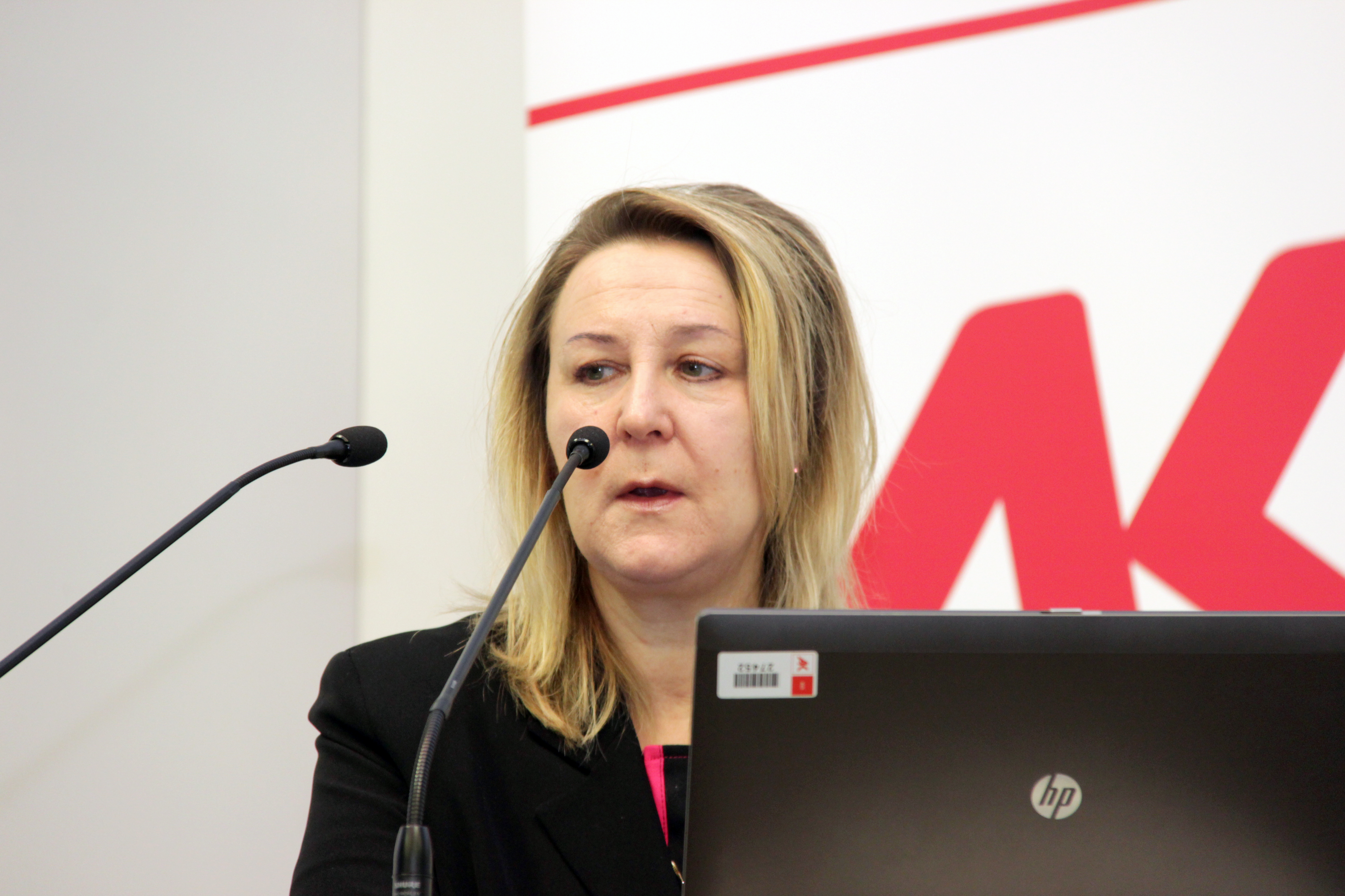ECB2013 Schmutzer